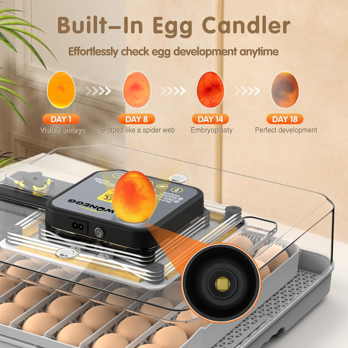 Egg Incubator Incubator for Hatching Eggs 48 Eggs Automatic Egg Turning Incubators Egg Candler Viewing for Chicken, Ducks, Goose