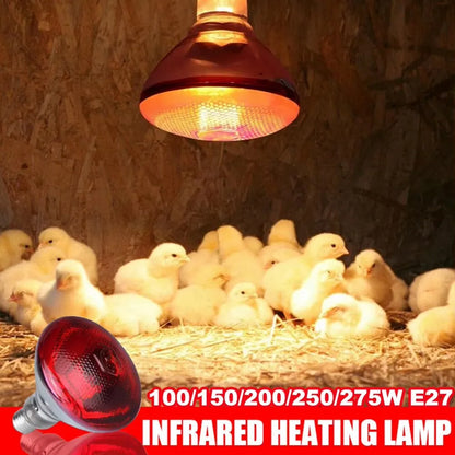 E27 100/150/200W/250W Infrared LED Light Thickening Heat Lamp Thermal Preservation Bulb for Pet Brooder Hatch Piggy Dog Cat