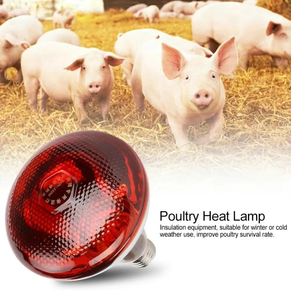 E27 100/150/200W/250W Infrared LED Light Thickening Heat Lamp Thermal Preservation Bulb for Pet Brooder Hatch Piggy Dog Cat