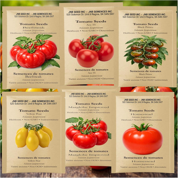 Heirloom Tomato Seeds Variety Pack - 6 Distinct Varieties, 250 Seeds for Indoor and Outdoor Gardening | Perfect for Patio Planters and Balcony Spaces, Promoting Healthy Home Produce with Rich Colors and Diverse Flavors for Seasonal Culinary Use