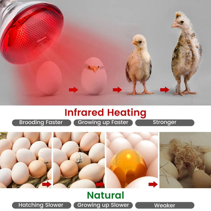 E27 100/150/200W/250W Infrared LED Light Thickening Heat Lamp Thermal Preservation Bulb for Pet Brooder Hatch Piggy Dog Cat