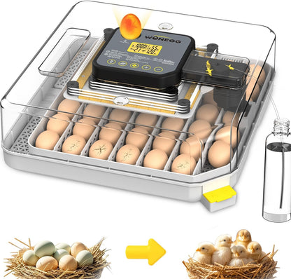 Egg Incubator Incubator for Hatching Eggs 48 Eggs Automatic Egg Turning Incubators Egg Candler Viewing for Chicken, Ducks, Goose