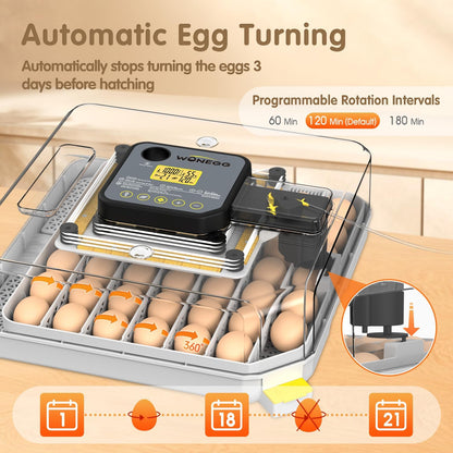 Egg Incubator Incubator for Hatching Eggs 48 Eggs Automatic Egg Turning Incubators Egg Candler Viewing for Chicken, Ducks, Goose