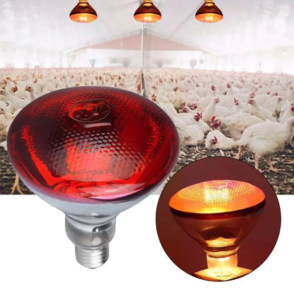 E27 100/150/200W/250W Infrared LED Light Thickening Heat Lamp Thermal Preservation Bulb for Pet Brooder Hatch Piggy Dog Cat